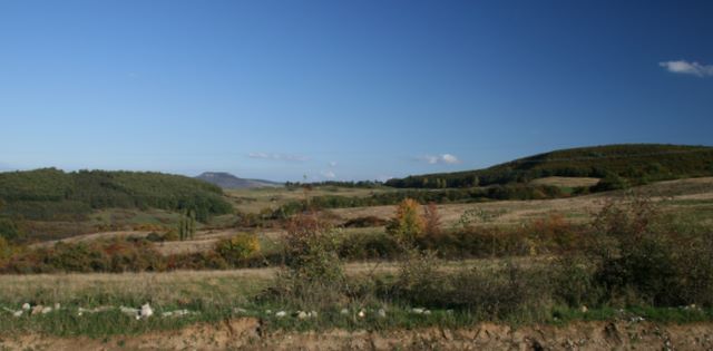 IMG_0416.jpg
