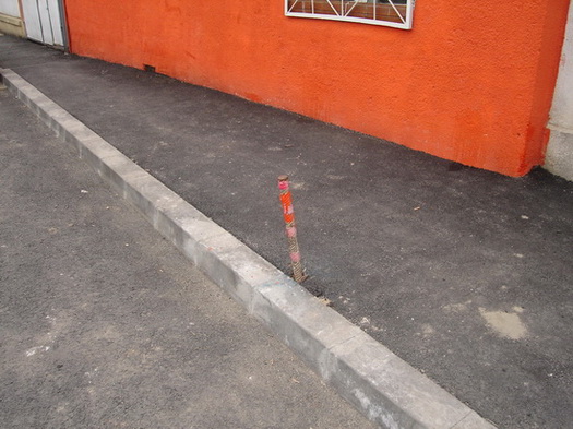 DSC02869.jpg