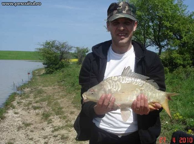 lac 2.jpg