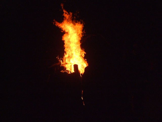 foc.JPG