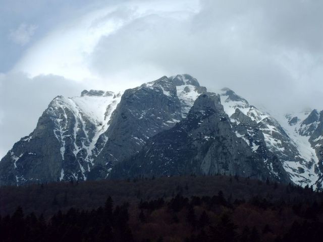 IMAG0037.JPG
