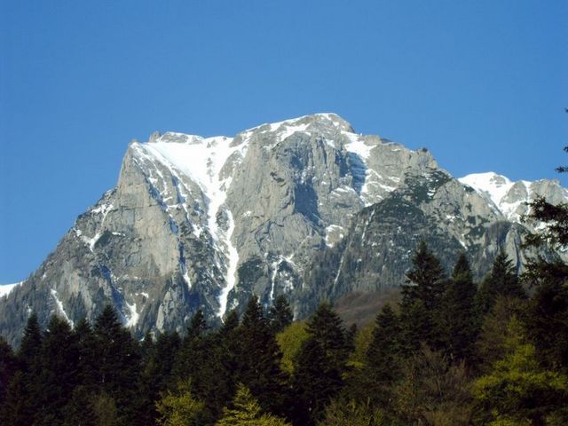 IMAG0077.JPG